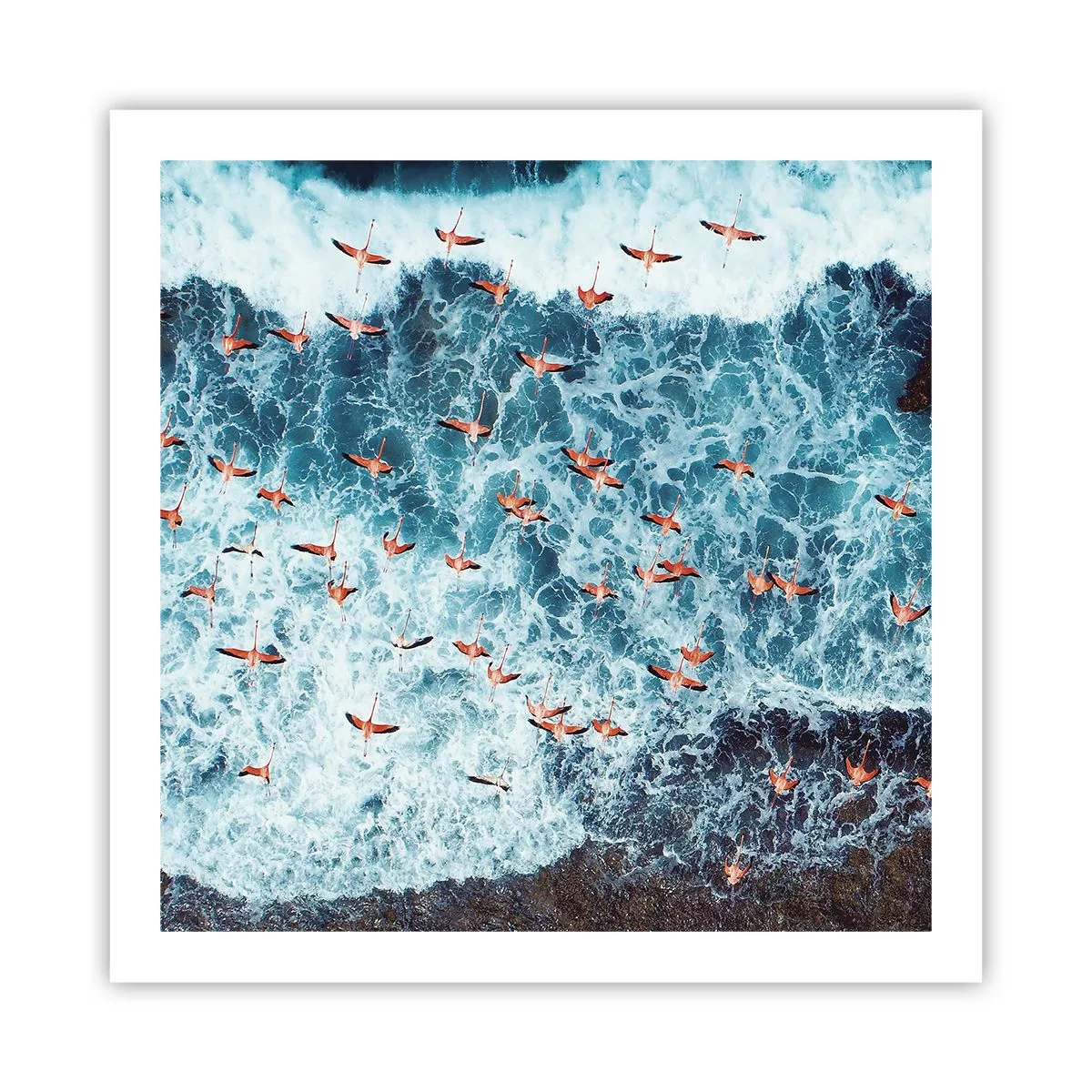 Plagát - Prímorský sprievod - 60x60 cm