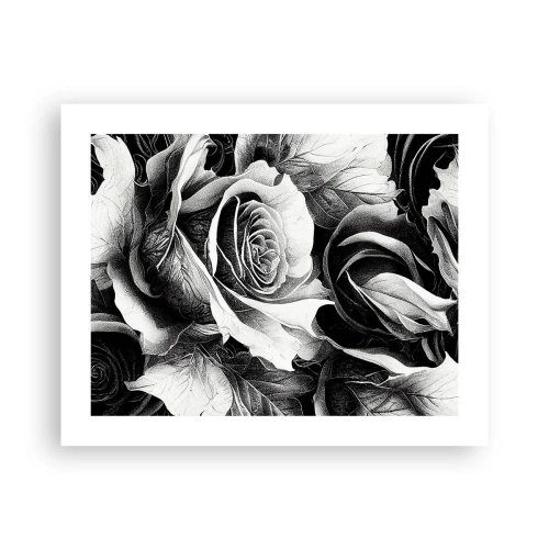 Plagát - Navždy kráľovná - 50x40 cm