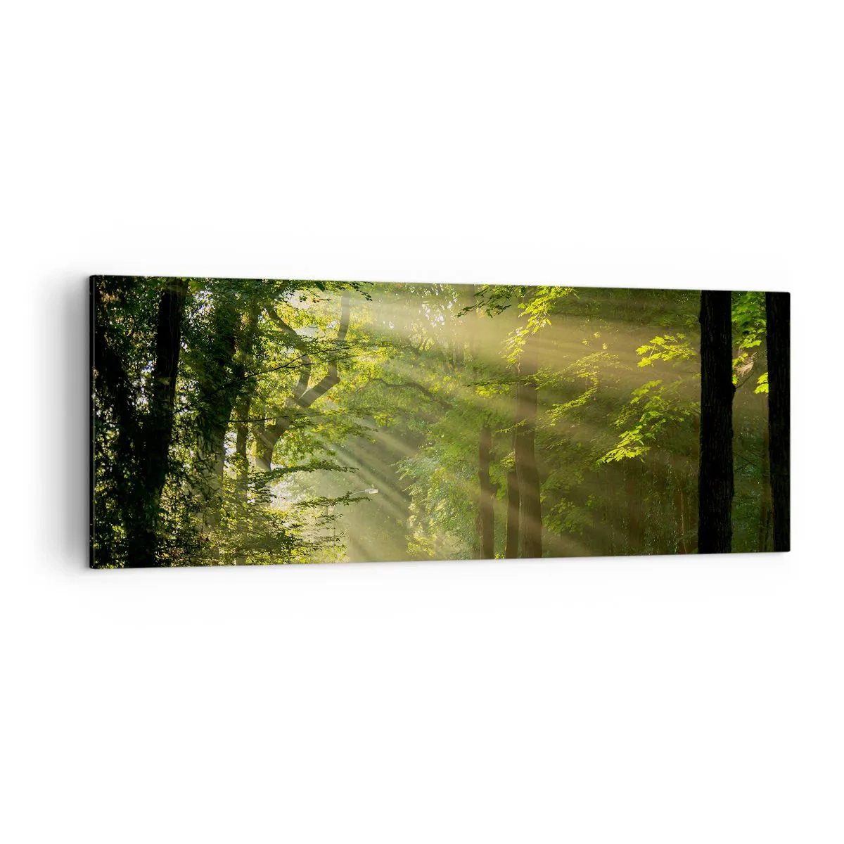 Obraz na plátne - Lesný okamih - 140x50 cm