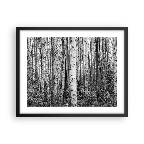 Plagát v čiernom ráme - Brezová kolonáda - 50x40 cm