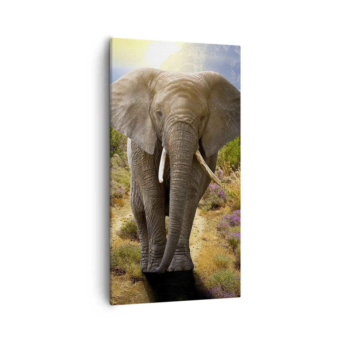 Obraz na plátne - Tak vyzeral Raj - 55x100 cm