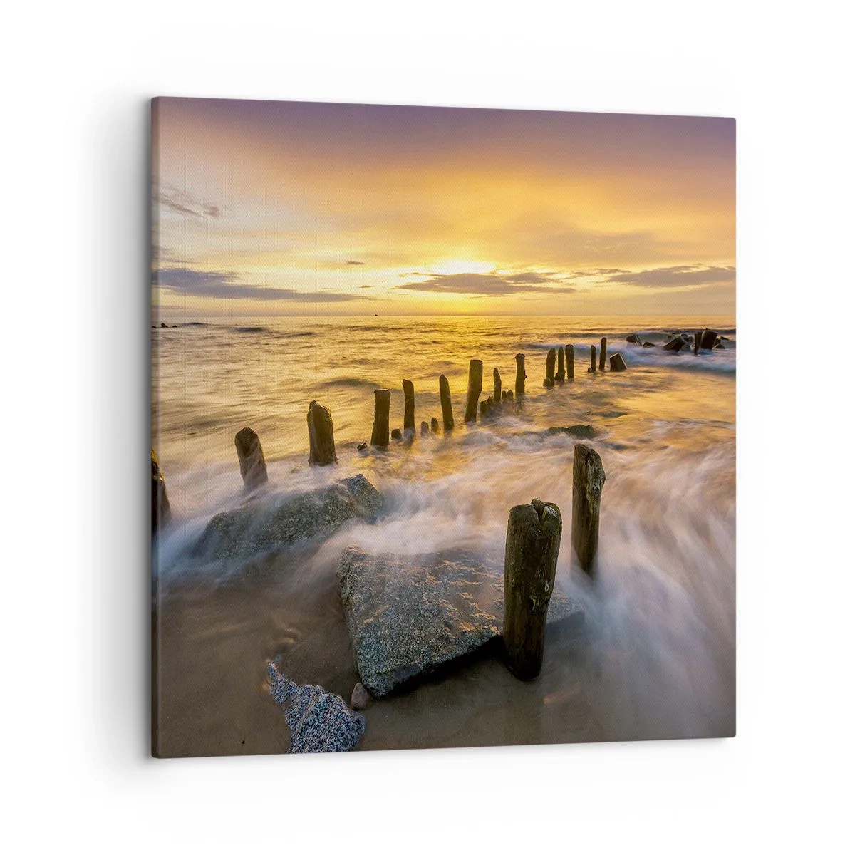 Obraz na plátne - Drsná krása Baltského mora - 50x50 cm