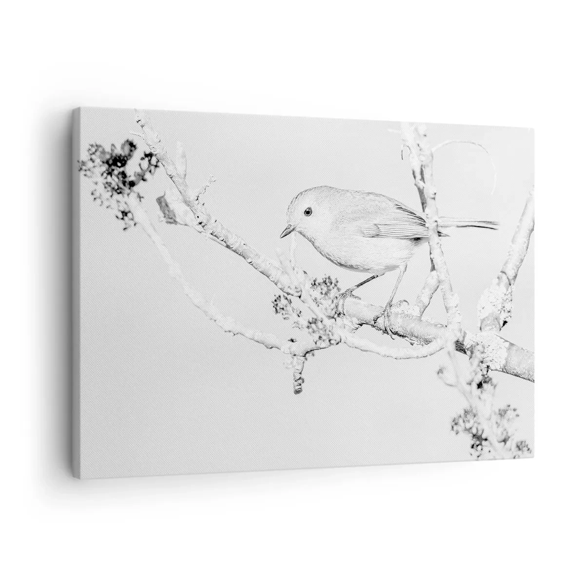 Obraz na plátne - Vták na konári v čiernobielej farbe s minimalistickým štýlom - 70x50cm - Zimné ráno - Moderná nástenná dekorácia do obývacej izby a spálne ARTTOR