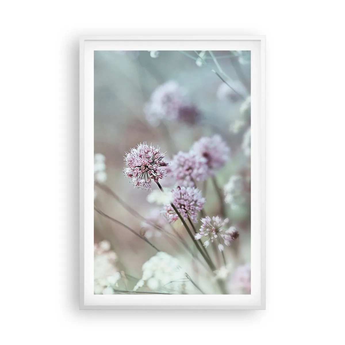 Plagát v bielom ráme - Sladké filigrány byliniek - 61x91 cm