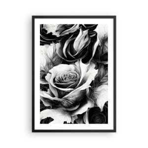 Plagát v čiernom ráme - Čiernobiela kompozícia ruží s výrazným šerosvitom - 50x70cm - Navždy kráľovná - Moderná nástenná dekorácia do obývacej izby a spálne ARTTOR