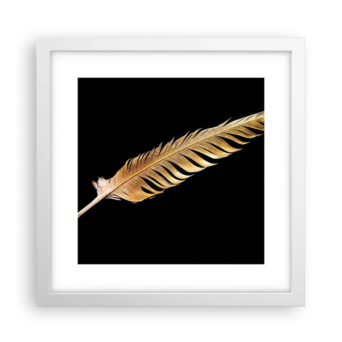 Plagát v bielom ráme - Krásne pierko… - 30x30 cm