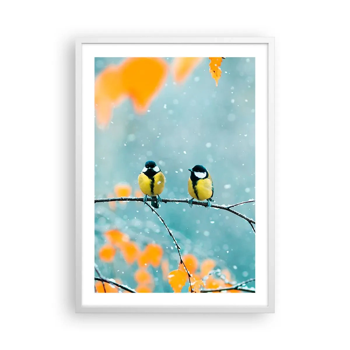 Plagát v bielom ráme - Vtáčie klebety - 50x70 cm