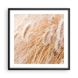 Plagát v čiernom ráme - Zlaté šušťanie tráv - 50x50 cm
