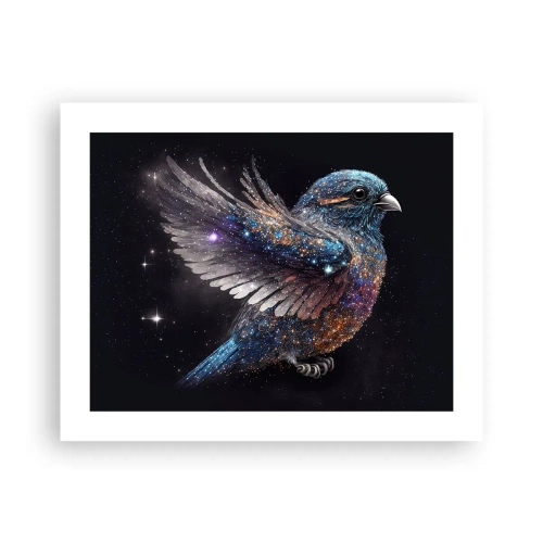 Plagát - Diamantový vrabec - 50x40 cm