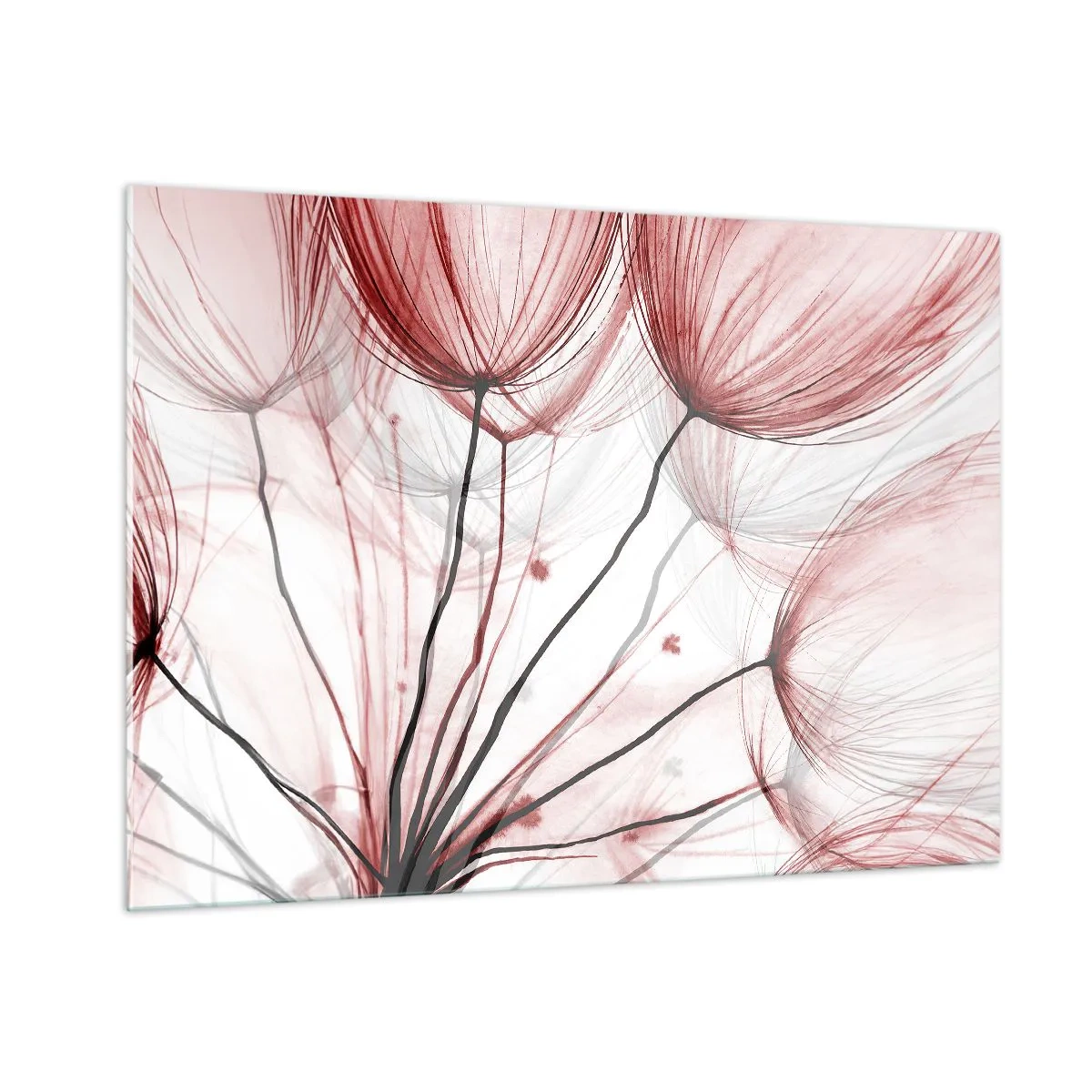 Obraz na skle - Pred odletom - 100x70 cm