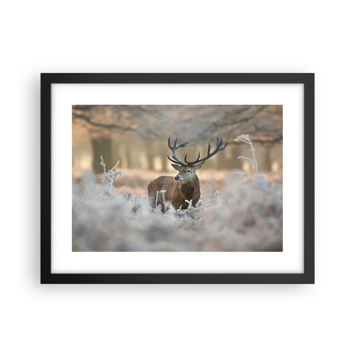 Plagát v čiernom ráme - Svieže ráno - 40x30 cm