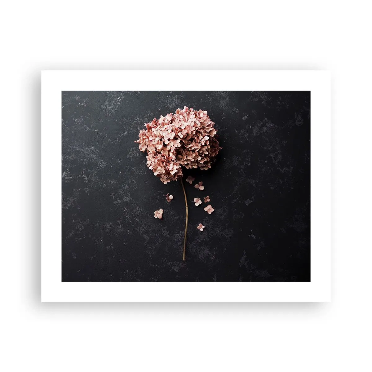 Plagát - Skutočne romantické znamenie - 50x40 cm