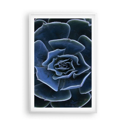 Plagát v bielom ráme - Púštny kvet - 61x91 cm