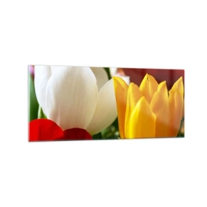 Obraz na skle - Tulipánová horúčka - 120x50 cm