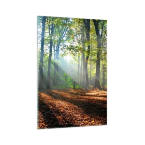 Obraz na skle - Svetlá a tiene - 70x100 cm