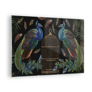 Obraz na skle - Farebné pávy a klietka na čiernom pozadí - 70x50cm - V kráľovskom rúchu - Moderná nástenná dekorácia do obývacej izby a spálne ARTTOR