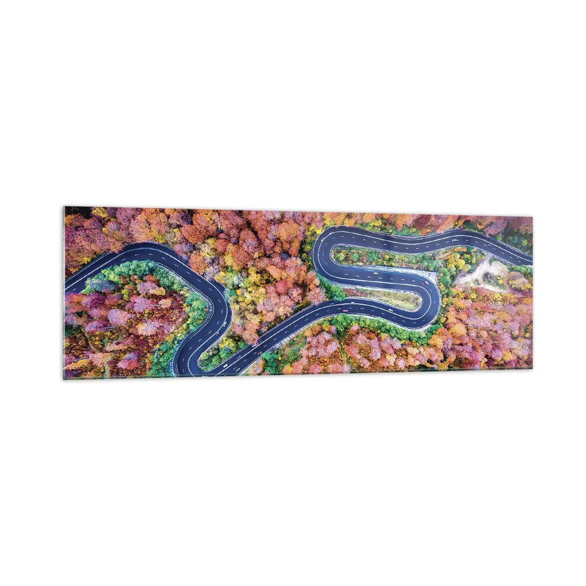 Obraz na skle - Kľukatá cesta lesom - 160x50 cm