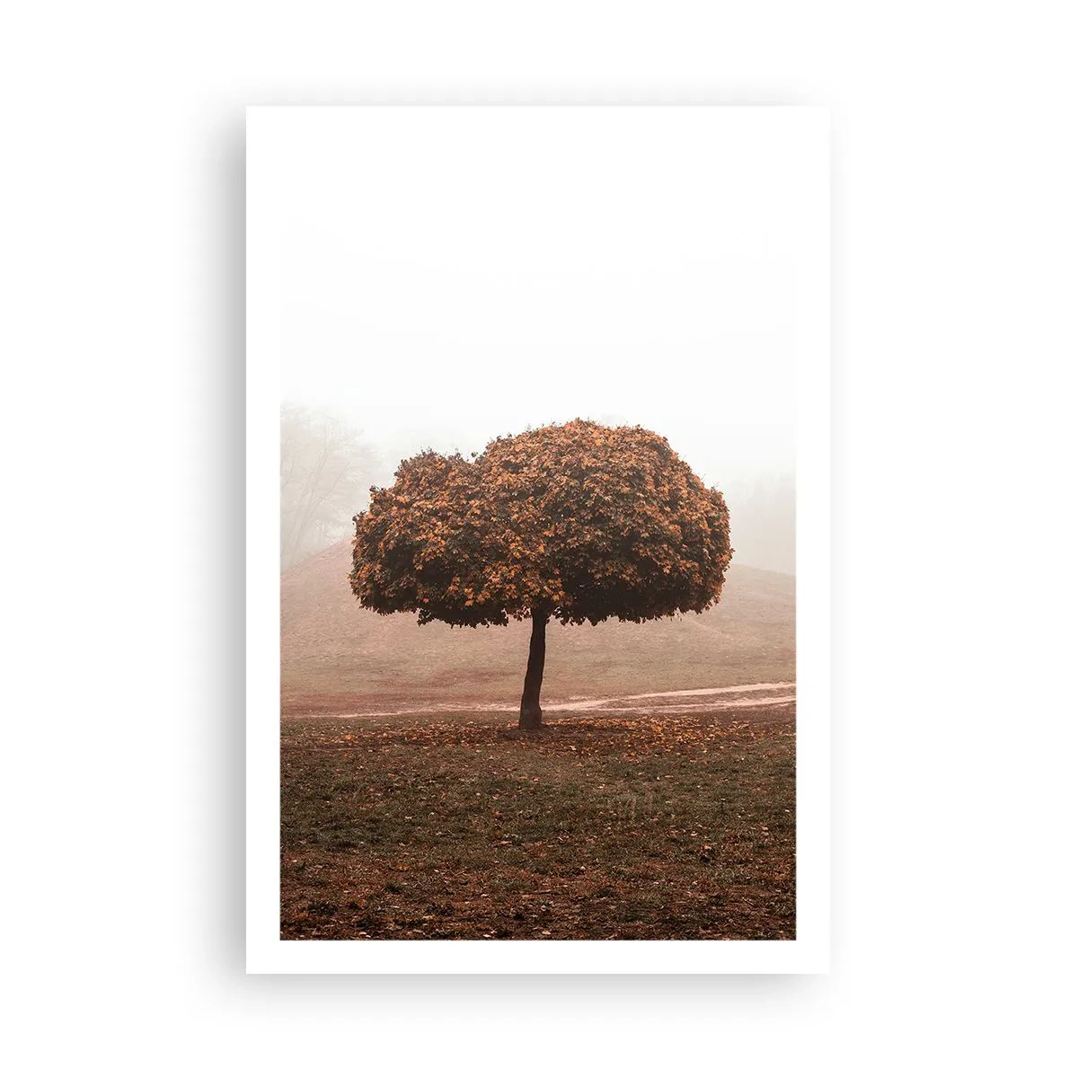 Plagát - Po rušnom lete - 61x91 cm