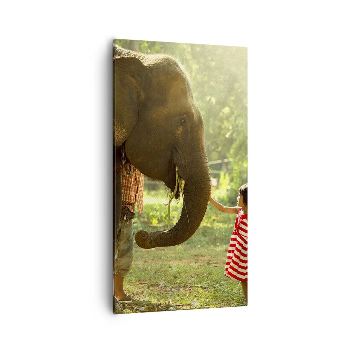 Obraz na plátne - Sila priateľstva - 55x100 cm