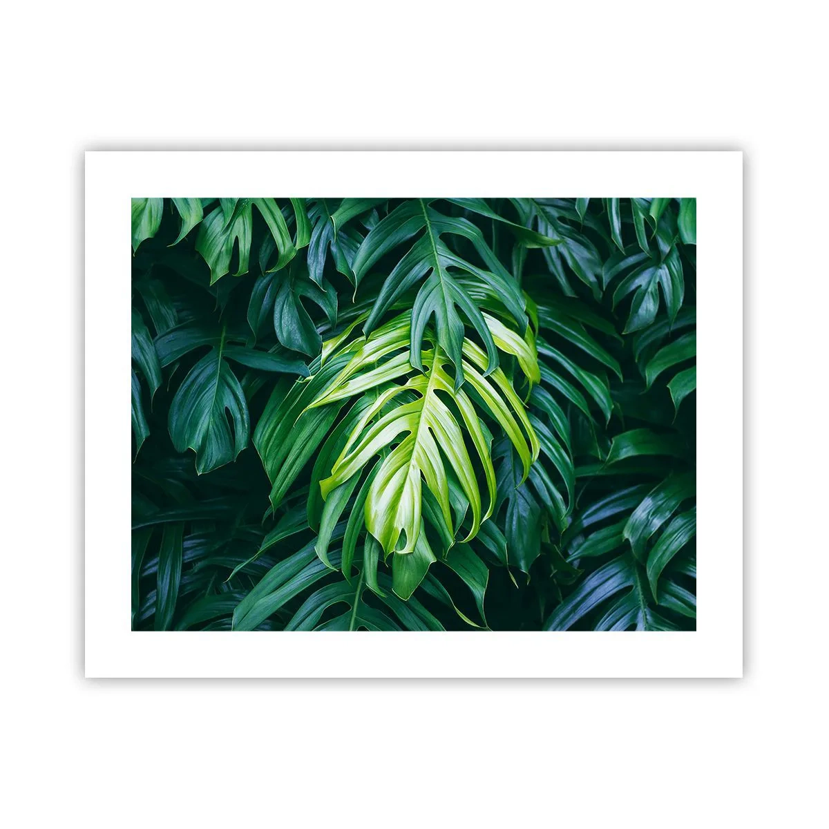 Plagát - Ponoriť sa do sviežosti - 50x40 cm