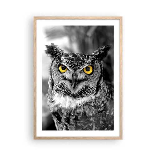 Plagát v ráme zo svetlého duba - Nič sa neschová - 50x70 cm