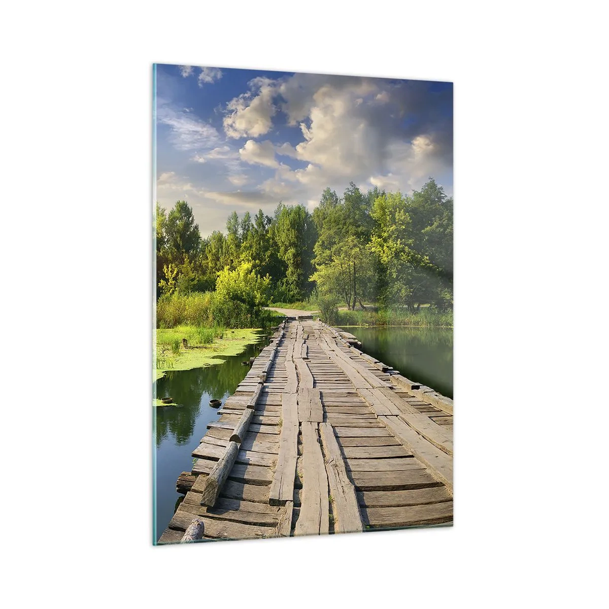 Obraz na skle - Leto, leto všade - 50x70 cm