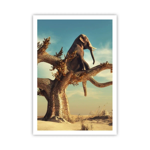 Plagát - Nový uhol pohľadu - 70x100 cm