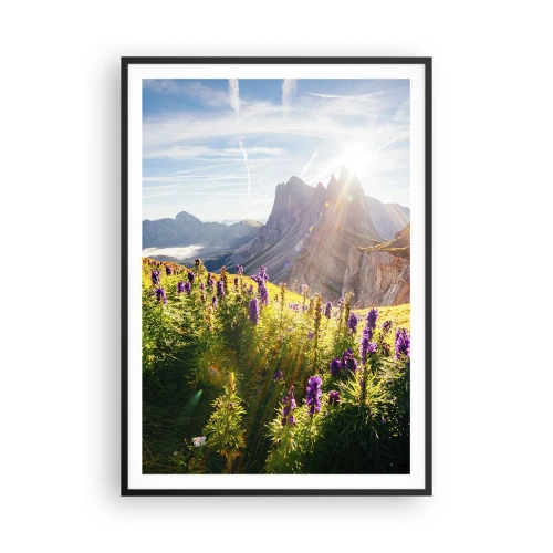 Plagát v čiernom ráme - Tajomný život bylín - 70x100 cm