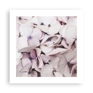 Plagát - V záplave kvetov - 40x40 cm
