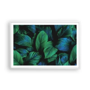 Plagát v bielom ráme - V zelenom dave - 91x61 cm