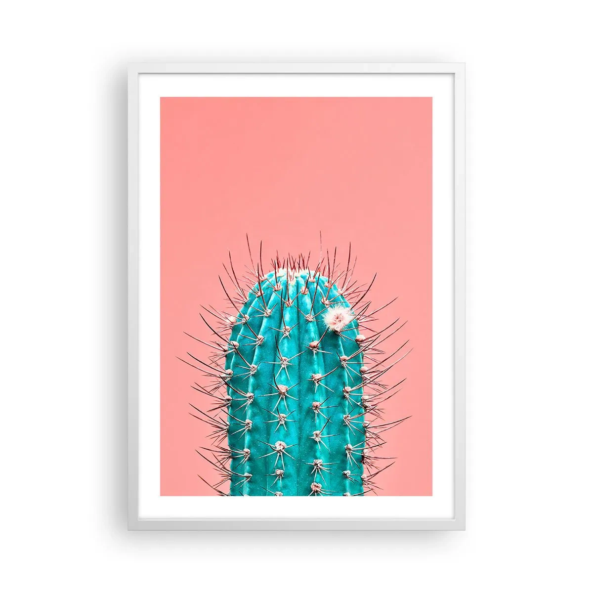 Plagát v bielom ráme - Len pozeraj - 50x70 cm