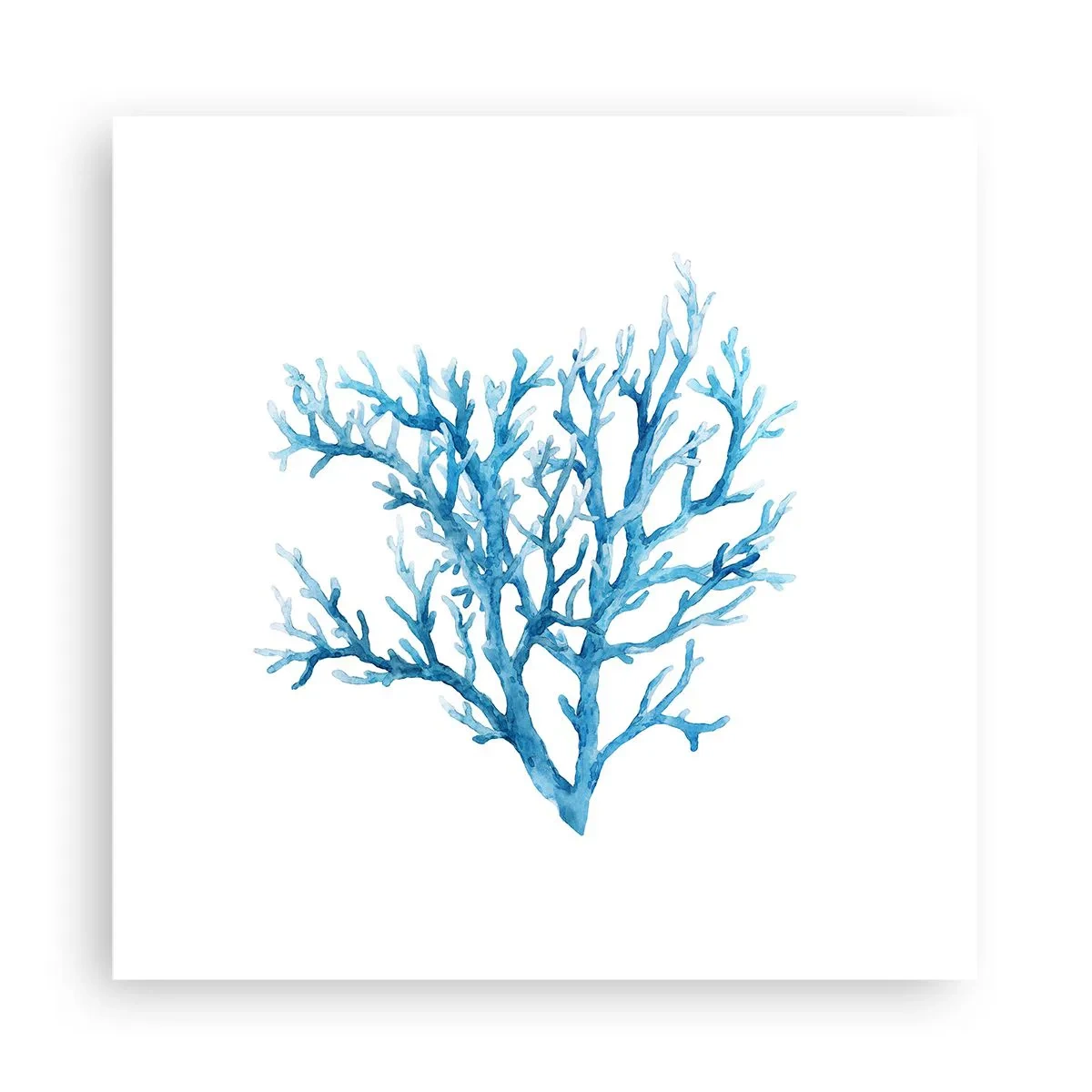 Plagát - Morský filigrán - 30x30 cm