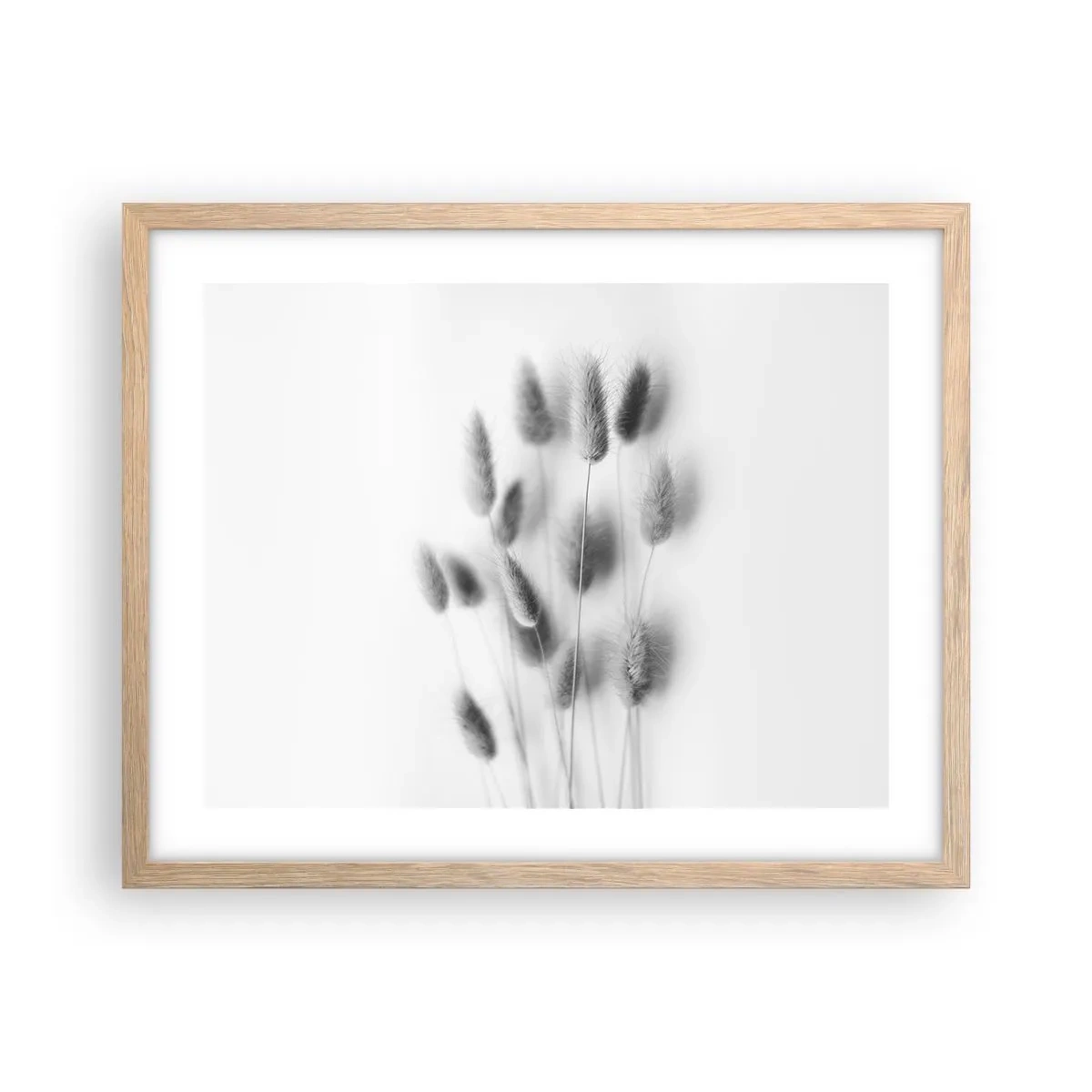 Plagát v ráme zo svetlého duba - Našuchorená tráva - 50x40 cm