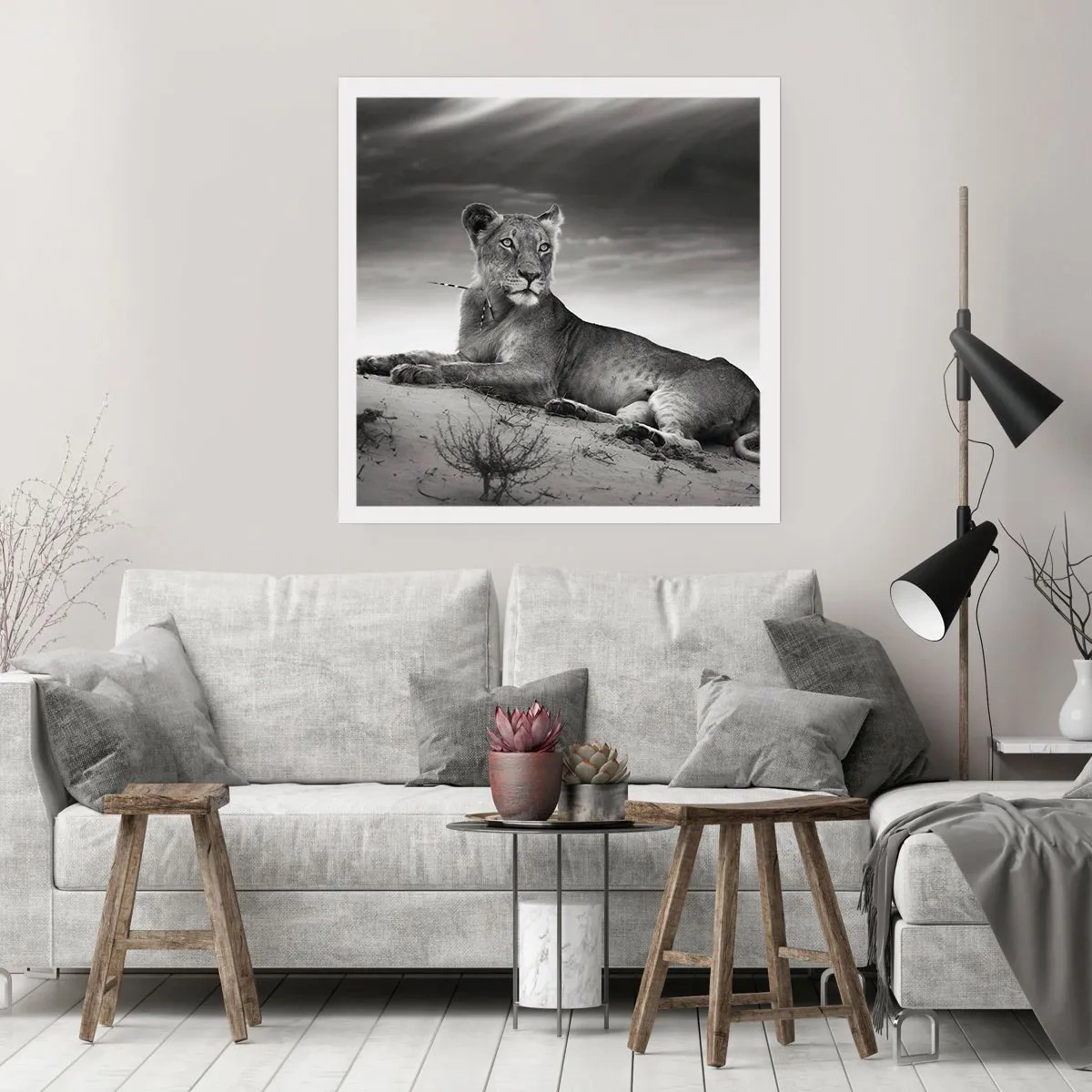 Plagát - Odpočinok kráľovnej púšte - 60x60 cm