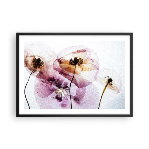 Plagát v čiernom ráme - Priehľadné telá kvetín - 70x50 cm