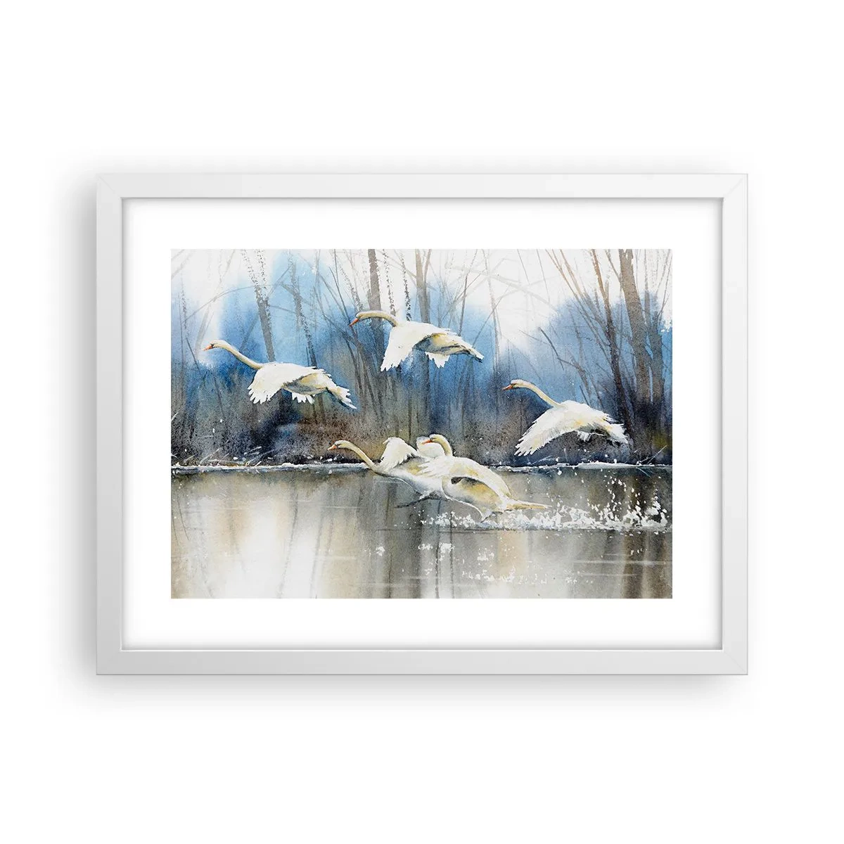 Plagát v bielom ráme - Ako v poviedke o divokých labutiach - 40x30 cm