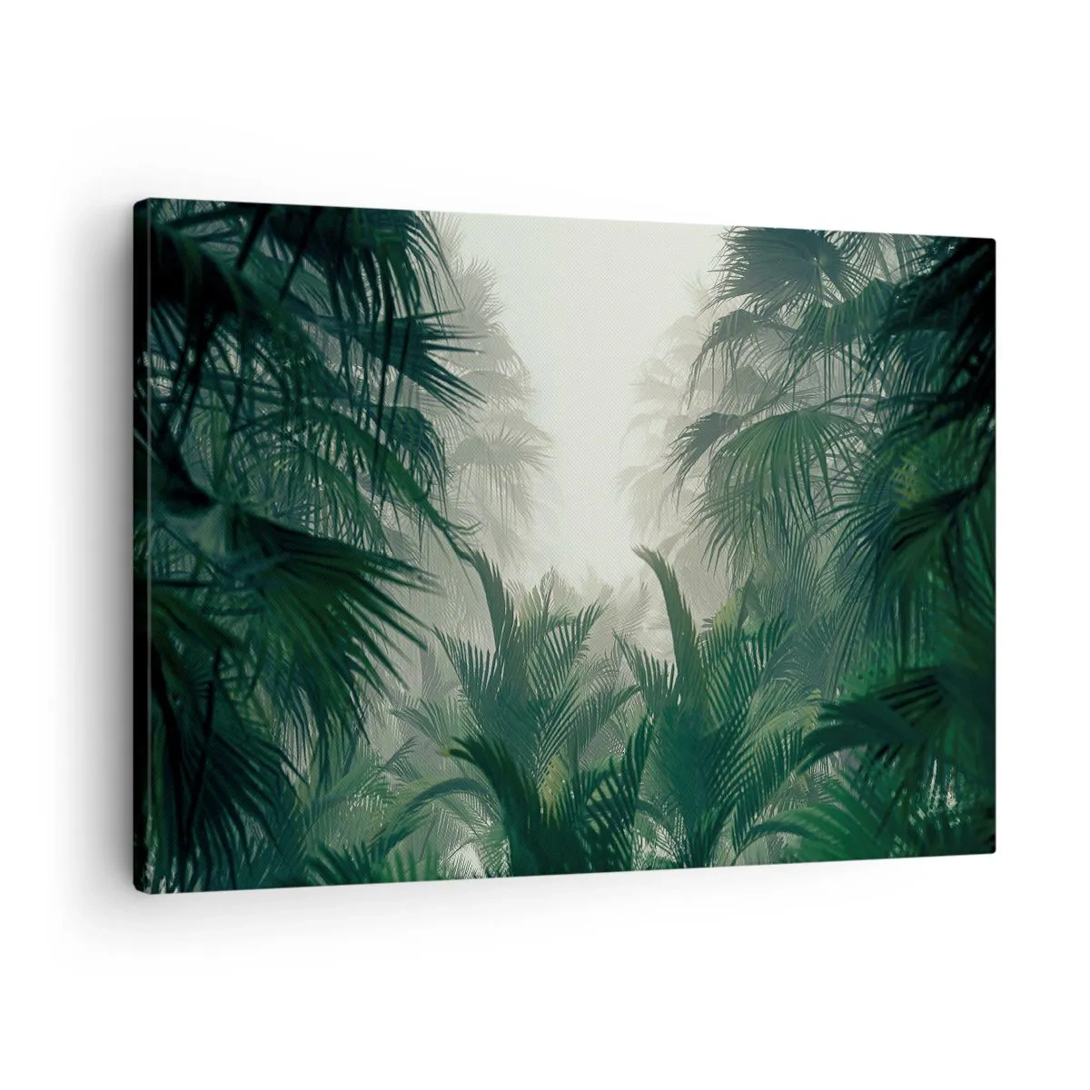 Obraz na plátne - Tropická vegetácia v hustej hmle dažďového pralesa - 70x50cm - Tropická záhada - Moderná nástenná dekorácia do obývacej izby a spálne ARTTOR