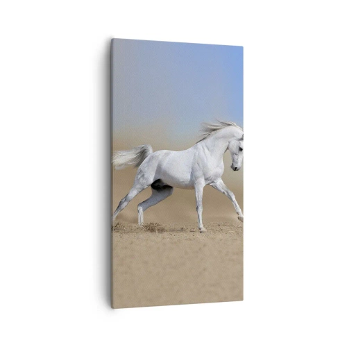 Obraz na plátne - Najkrajšia arabská rozprávka - 55x100 cm