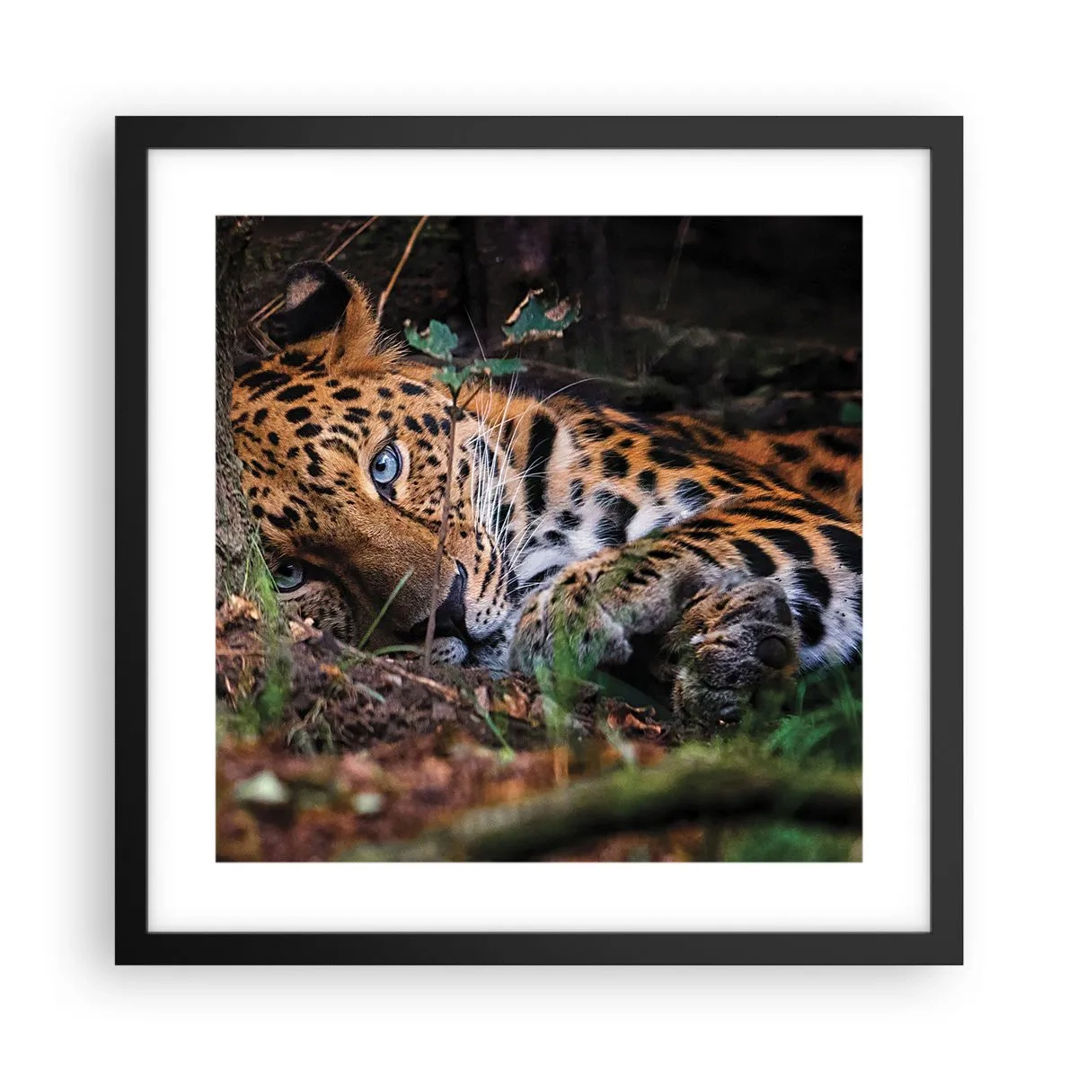 Plagát v čiernom ráme - Ver mi - 40x40 cm