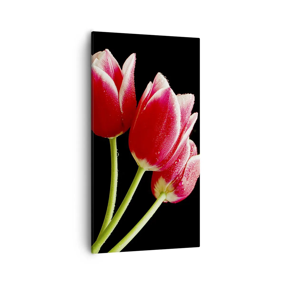 Obraz na plátne - Sľub čistej lásky - 55x100 cm