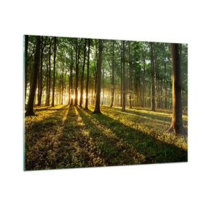 Obraz na skle - Fotografie všetkých jarí - 100x70 cm