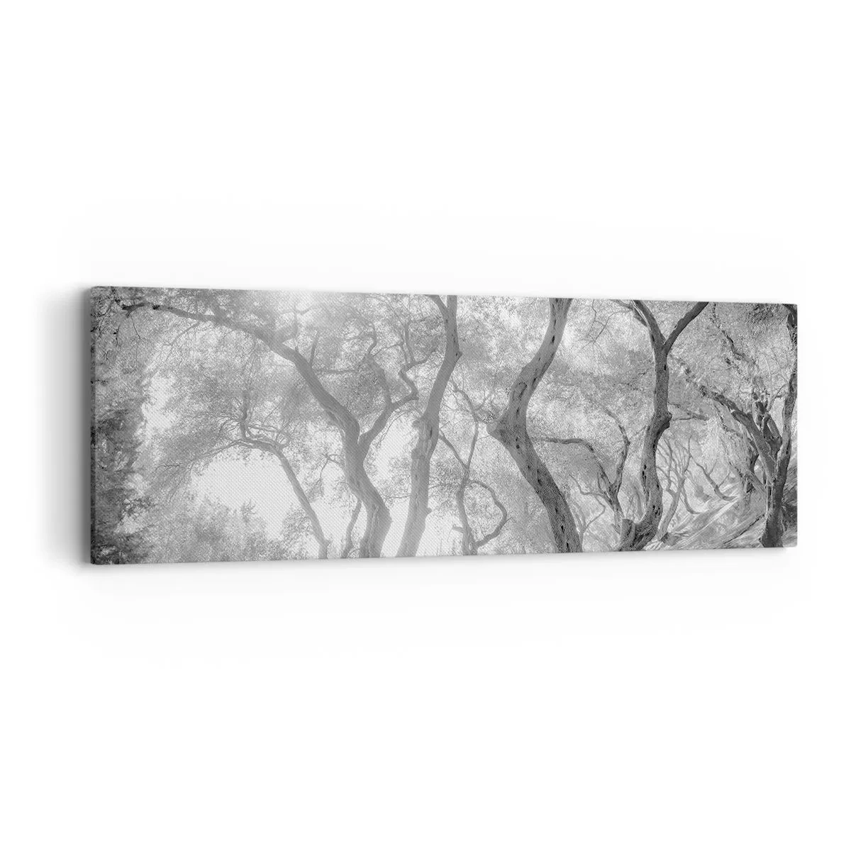 Obraz na plátne - V olivovom háji - 90x30 cm