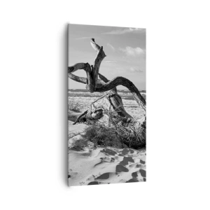 Obraz na plátne - Morská socha - 65x120 cm