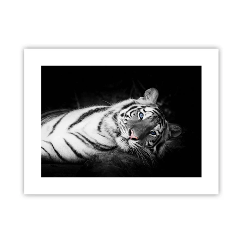 Plagát - Divočina a pokoj - 40x30 cm