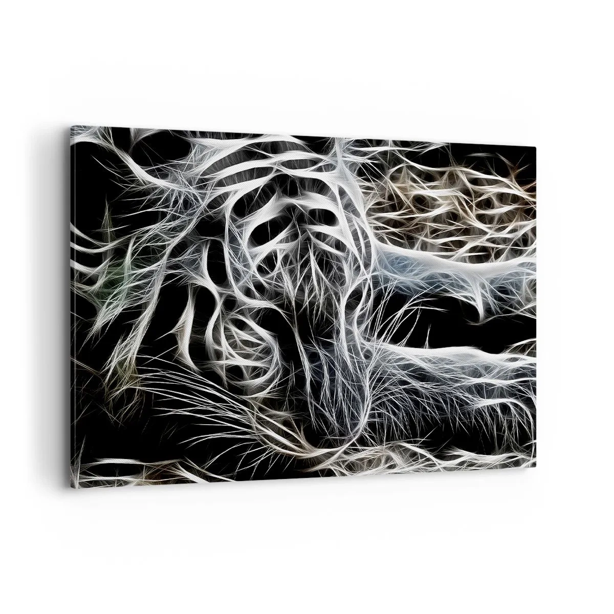 Obraz na plátne - Štúdia mačacej ľahkosti - 100x70 cm