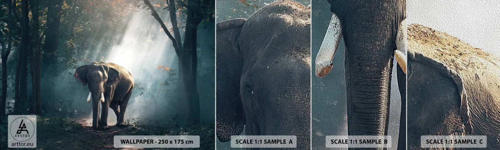 Vzorka fototapety Premium Sand - Pokojná prechádzka - Zvieratá, Slon, Džungle - 100x30 cm