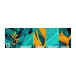 Vzorka fototapety Premium Canvas - Rajský kvet - Strelitzia Royal, Kvetina, Afriky - 100x30 cm