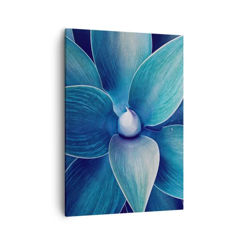 Obraz na plátne - Modrastý od neba - 50x70 cm