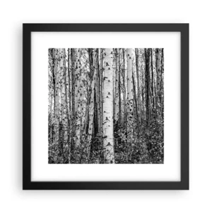 Plagát v čiernom ráme - Brezová kolonáda - 30x30 cm