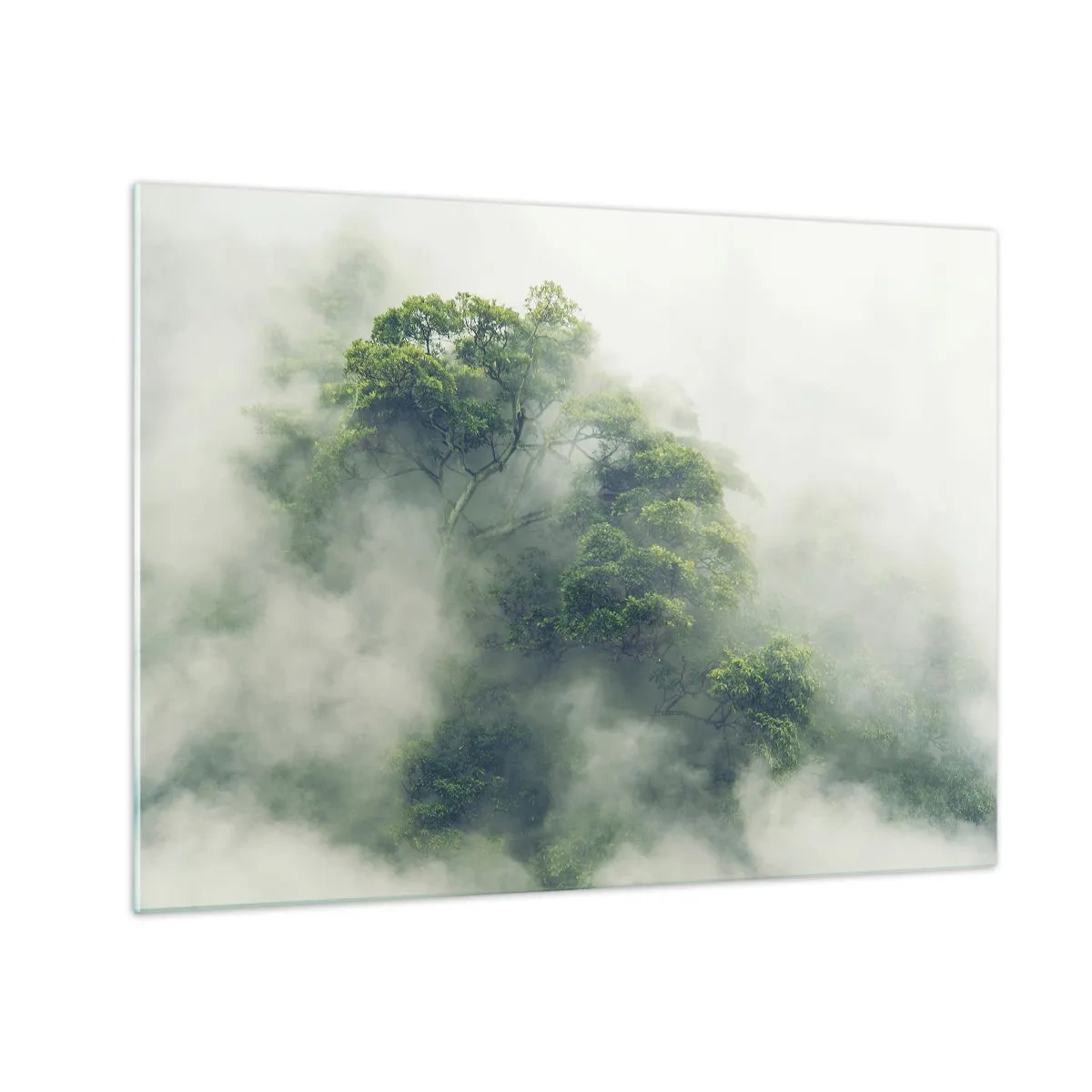 Obraz na skle - Stromy tropického lesa vychádzajúce z hustej hmly - 70x50cm - Zahalené hmlou - Moderná nástenná dekorácia do obývacej izby a spálne ARTTOR